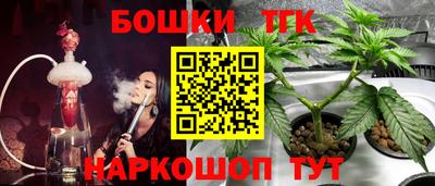 шишки Малгобек
