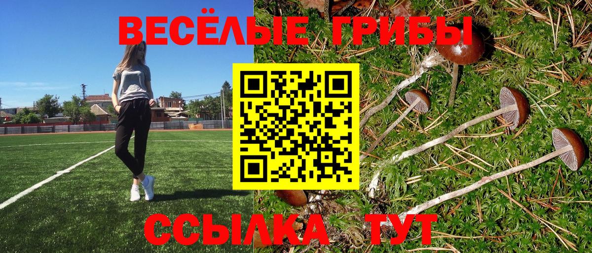 даркнет сайт  Вход с VPN  Галлюциногенные грибы мухоморы  Ижевск  Псилоцибиновые грибы ЛСД 