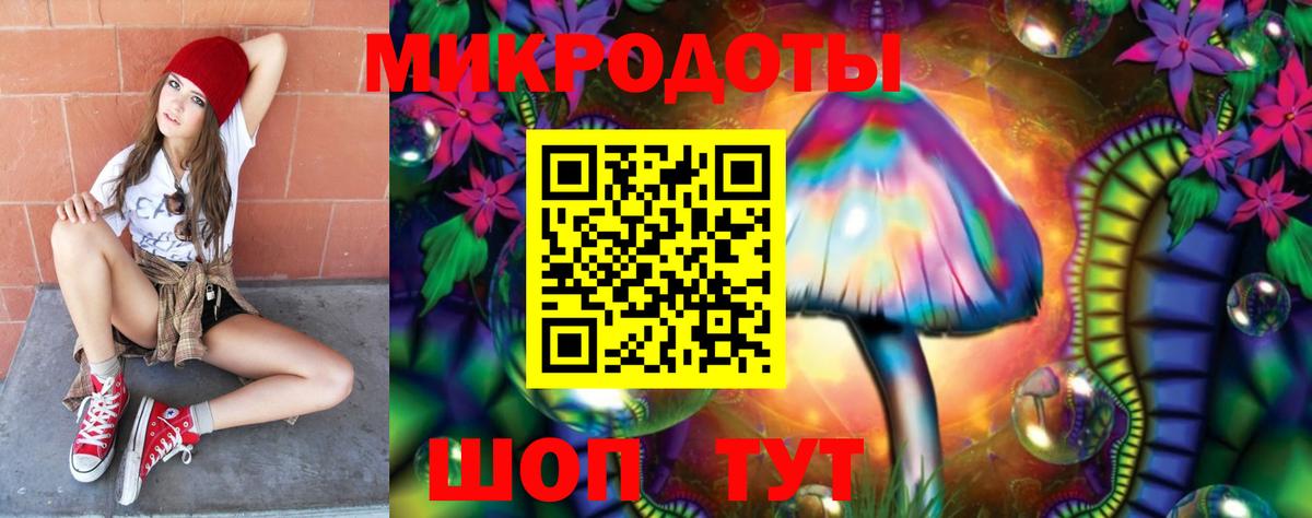 Псилоцибиновые грибы Ижевск